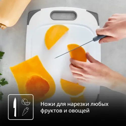 Набор Ножей Tefal/ 2100138186