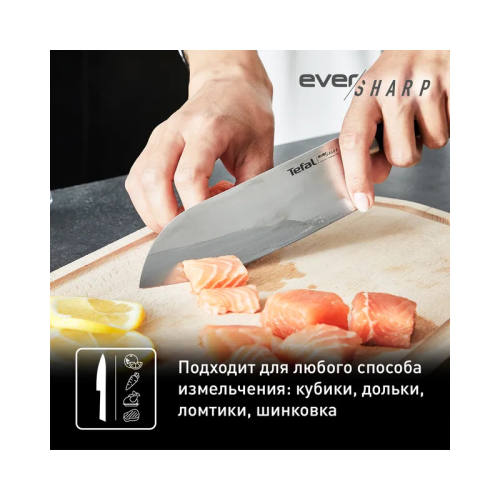 Нож-Сантоку Tefal/ 2100125419
