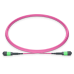 NVIDIA/Mellanox MFP7E10-N005 Compatible 5m (16ft) MPO-12 APC(Female) to MPO-12 APC(Female) 12 Fibers Multimode (OM4) Patch Cable, Type B, LSZH, 3.0mm, Max IL ? 0.35dB, Magenta NVIDIA/Mellanox MFP7E10-N005 Compatible 5m (16ft) MPO-12 APC(Female) to MPO-12 APC(Female) 12 Fibers Multimode (OM4) Patch Cable, Type B, LSZH, 3.0mm, Max IL ? 0.35dB, Magenta