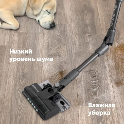 Пылесос/ Пылесос Polaris PVCSDC 8001 450Вт графит/серый (в компл.:3мешка)