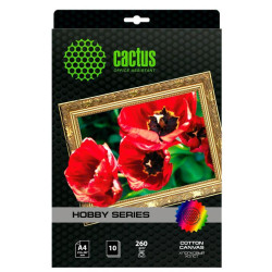 Холст Cactus CS-CA426010 A4/260г/м2/10л. для струйной печати