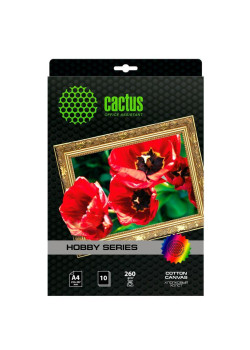 Холст Cactus CS-CA426010 A4/260г/м2/10л. для струйной печати