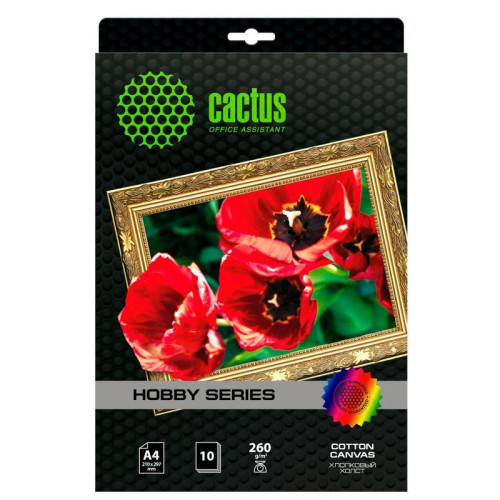 Холст Cactus CS-CA426010 A4/260г/м2/10л. для струйной печати