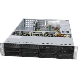 Платформа системного блока SuperMicro SYS-6029P-WTR 2U, 2xLGA3647, 12xDDR4, 8x3.5, 2x1GbE, 1xM.2 PCIE, 6xPCIE x8, 2x1000W (825TQC-R1K03WB, X11DDW-L), (264445)