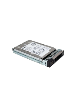 Твердотельный накопитель/ 3.84TB SSD SAS RI 24Gbps 512e 2.5in Hot-Plug, AG Drive 1DWPD