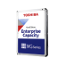 Жесткий диск/ HDD Toshiba SAS 6Tb 12Gb/s 7200 256Mb 1 year warranty (replacement MG06SCA600E, ST6000NM005B, MG08SDA600E) Жесткий диск/ HDD Toshiba SAS 6Tb 12Gb/s 7200 256Mb 1 year warranty (replacement MG06SCA600E, ST6000NM005B, MG08SDA600E)