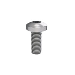Винт М5х12 под шлиц Torx, 100 шт.