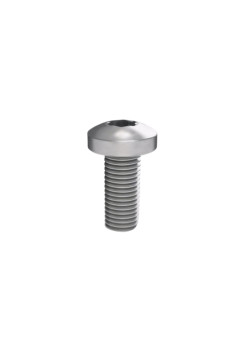 Винт М5х12 под шлиц Torx, 100 шт.