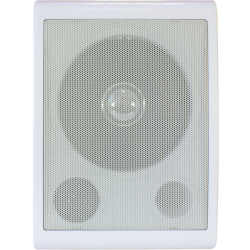 Громкоговоритель Tantos TSo-SW6a настенный 6Вт белый