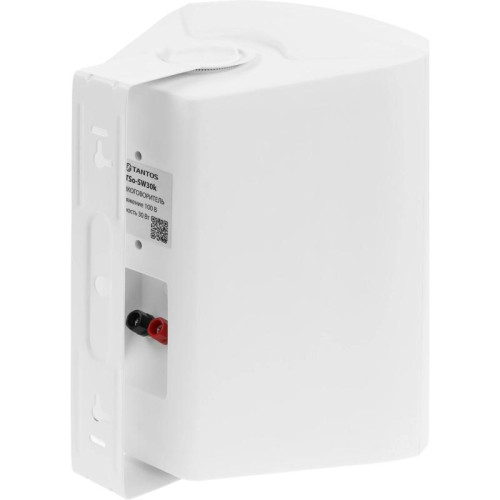 Громкоговоритель Tantos TSo-SW30k настенный 30Вт белый (00-00006480)