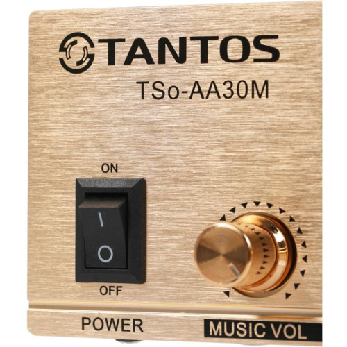 Усилитель Tantos TSo-AA30M выход 100Вт / 30Вт (00-00025068)