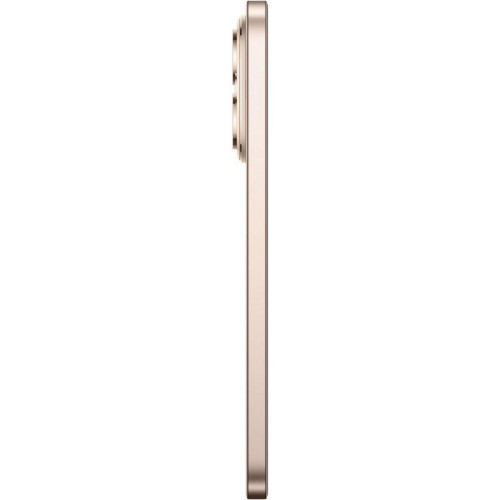 Смартфон Honor 400 8/256GB 5109BURB Gold