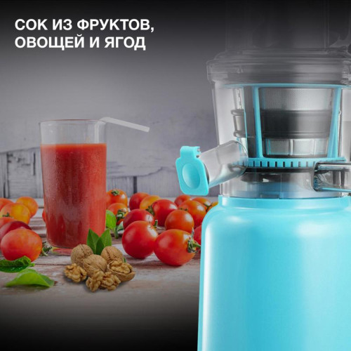Соковыжималка шнековая Hyundai HY-JS6534 300Вт рез.сок.:1200мл. светло-синий