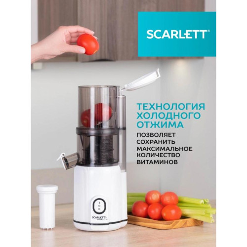 Соковыжималка шнековая Scarlett SC-JE50S63 400Вт рез.сок.:600мл. белый