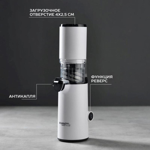 Соковыжималка шнековая Scarlett DailyPress SC-JE50S59 130Вт рез.сок.:600мл. белый