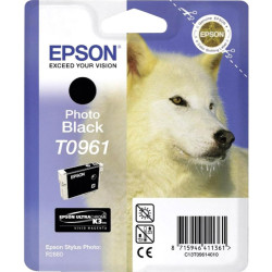 Картридж/ Epson R2880 Photo Black Cartridge