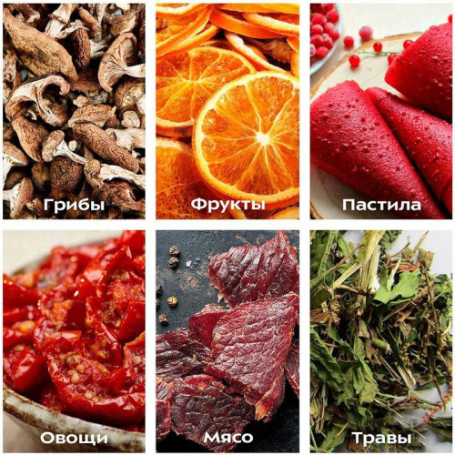 Сушка для фруктов и овощей Kitfort KT-1917 6под. 400Вт нержавеющая сталь