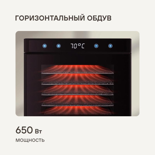 Сушка для фруктов и овощей Rondell RDE-1750 650Вт черный