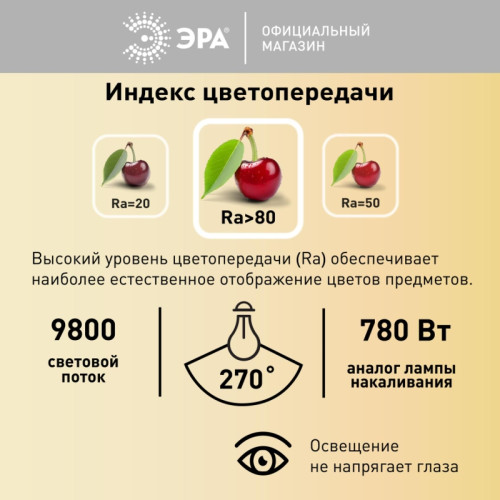 Лампа светодиодная/ Лампа светодиодная LED 100 Вт 9800Лм 4000К T140 нейтральный E27/E40 (переходник) 170-265В LED POWER T140-100W-4000-E27/E40 Red Line