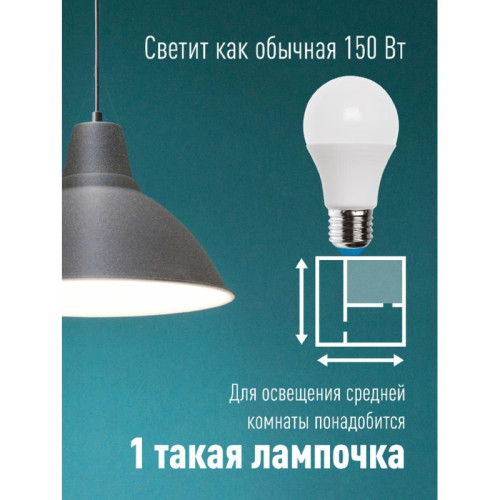 Лампа светодиодная/ Лампа светодиодная LED 25Вт 220В E27 D65х130 6500К холодный A65