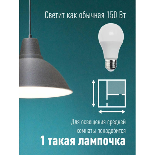 Лампа светодиодная/ Лампа светодиодная LED 20Вт 220В Е27 D60х118 белыйA60