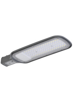 Светильник/ Светильник LED консольный уличный ДКУ 1012-100Ш 5000К IP65 серый