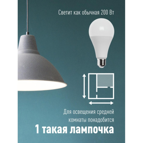 Лампа светодиодная/ Лампа светодиодная LED 25Вт 220В E27 D65х130 4500 белый A65
