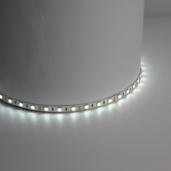 Лента светодиодная/ Лента светодиодная 14.4Вт/м 12В 6500К IP20 60LED/м LS606
