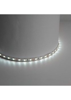 Лента светодиодная/ Лента светодиодная 14.4Вт/м 12В 6500К IP20 60LED/м LS606