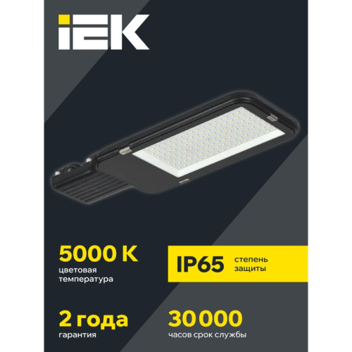 Светильник/ Светильник LED консольный уличный ДКУ 1013-100Д 5000К IP65