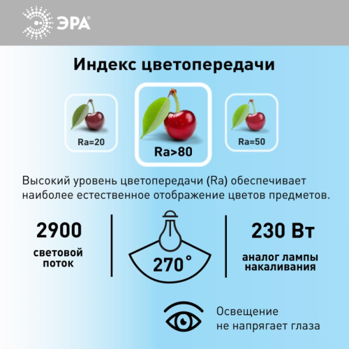 Лампа светодиодная/ Лампа светодиодная LED 30 Вт 2900Лм 6500К T80 холодный E27 150-275В LED POWER T80-30W-6500-E27 Red Line