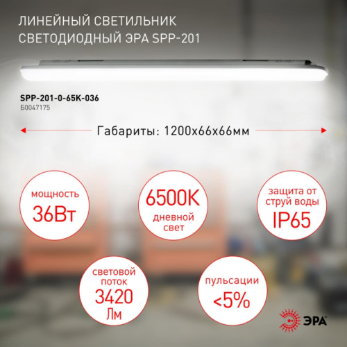 Светильник светодиодный линейный/ Светильник светодиодный линейный IP65 36Вт 3420Лм 6500К 1200мм мат SPP-201-0-65K-036 Светильник светодиодный линейный/ Светильник светодиодный линейный IP65 36Вт 3420Лм 6500К 1200мм мат SPP-201-0-65K-036