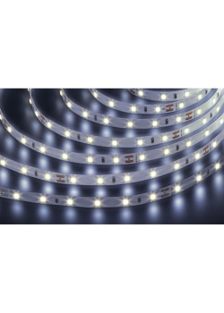 Лента светодиодная/ Лента светодиодная 4.8.Вт/м 24В 6000К IP20 60LED/м NLS-2835 5м