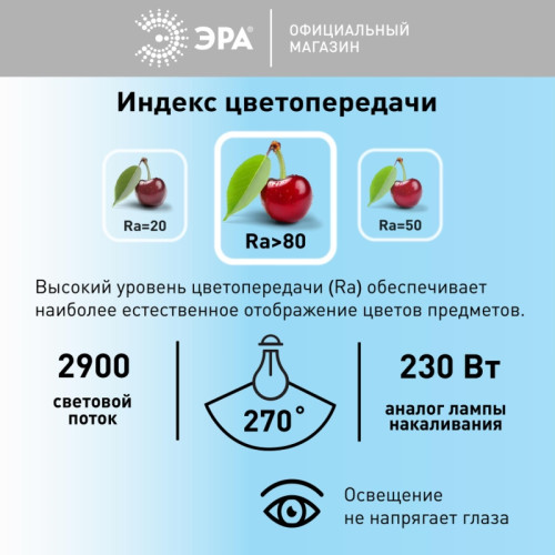 Лампа светодиодная/ Лампа светодиодная LED 30 Вт 2900Лм 6500К T80 холодный E27 150-275В LED POWER T80-30W-6500-E27 Red Line