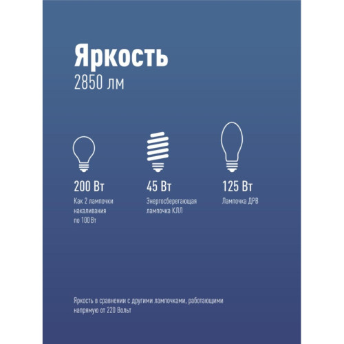 Лампа светодиодная/ Лампа светодиодная LED 30Вт 220В Е27 D80х135 6500К дневной 2850 лм