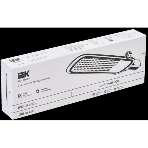 Светильник/ Светильник LED консольный уличный ДКУ 1012-100Ш 5000К IP65 серый