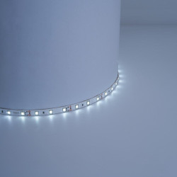 Лента светодиодная/ Лента светодиодная 4.8Вт/м 12В 6500К IP65 60LED/м LS604