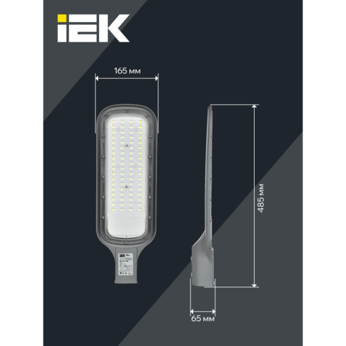 Светильник/ Светильник LED консольный уличный ДКУ 1012-100Ш 5000К IP65 серый