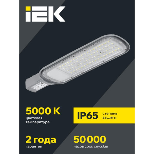 Светильник/ Светильник LED консольный уличный ДКУ 1012-100Ш 5000К IP65 серый