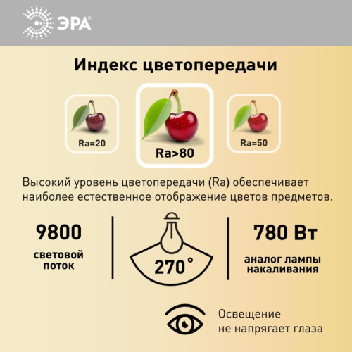 Лампа светодиодная/ Лампа светодиодная LED 100 Вт 9800Лм 4000К T140 нейтральный E27/E40 (переходник) 170-265В LED POWER T140-100W-4000-E27/E40 Red Line