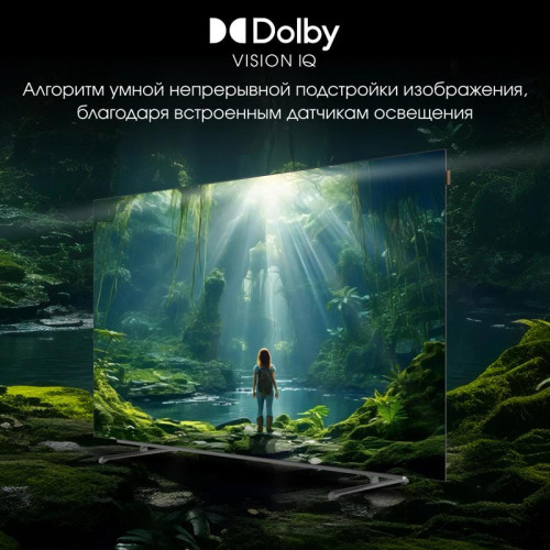 Телевизор OLED/ Телевизор OLED Digma Pro 65