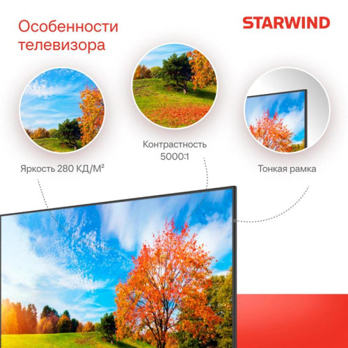 Телевизор LED/ Телевизор LED Starwind 65