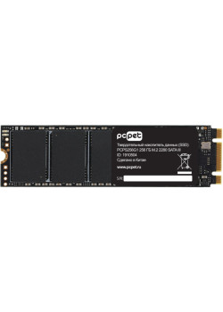 Твердотельный накопитель PC Pet SATA-III 256GB PCPS256G1 M.2 2280 OEM [PCPS256G1]