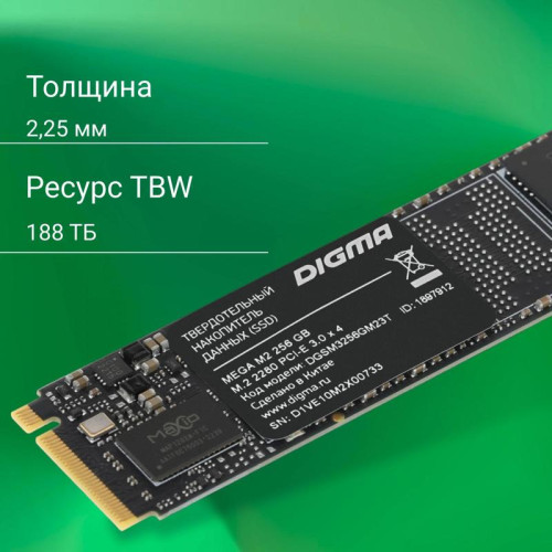 Твердотельный накопитель Digma PCIe 3.0 x4 256GB DGSM3256GM23T Mega M2 M.2 2280 [DGSM3256GM23T]