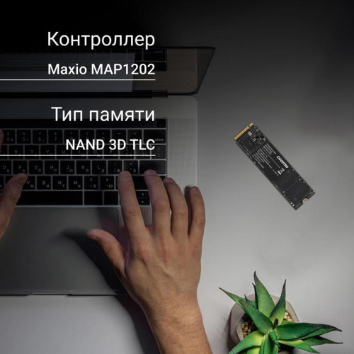 Твердотельный накопитель Digma PCIe 3.0 x4 2TB DGSM3002TM23T Mega M2 M.2 2280 [DGSM3002TM23T]