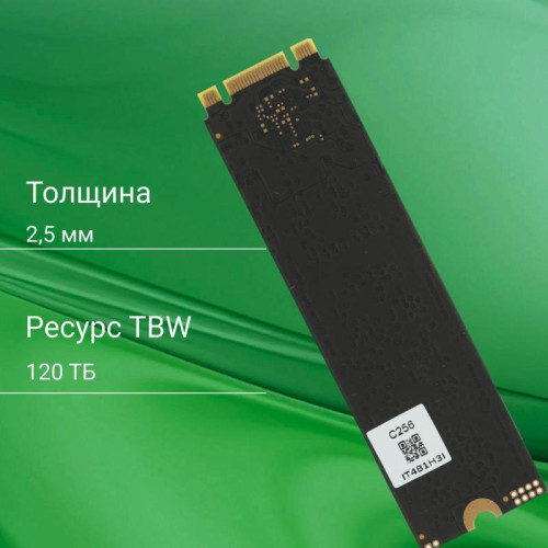 Твердотельный накопитель Digma SATA-III 256GB DGSR1256GS93T Run S9 M.2 2280 [DGSR1256GS93T]