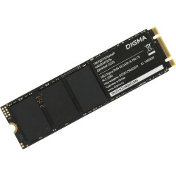 Твердотельный накопитель Digma SATA-III 256GB DGSR1256GS93T Run S9 M.2 2280 [DGSR1256GS93T]