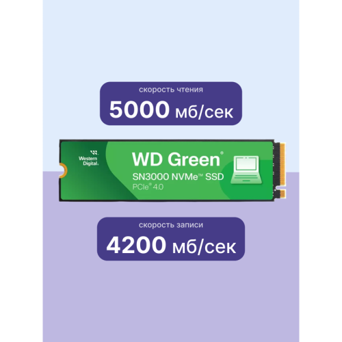 Твердотельные накопители WD SSD Green SN3000, 1000GB, M.2(22x80mm), NVMe, PCIe 4.0 x4, QLC, R/W 5000/4200MB/s, TBW 150, DWPD 0.1 (12 мес.)
