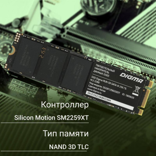 Твердотельный накопитель Digma SATA-III 256GB DGSR1256GS93T Run S9 M.2 2280 [DGSR1256GS93T]