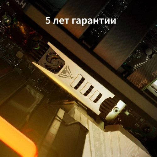 Твердотельный накопитель Patriot PCIe 5.0 x4 1TB PV553P1TBM28H PV553 M.2 2280 [PV553P1TBM28H]
